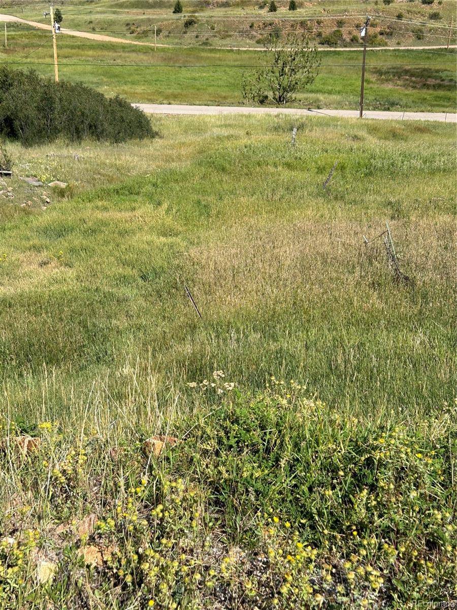 Cripple Creek, CO 80813,S 1st ST