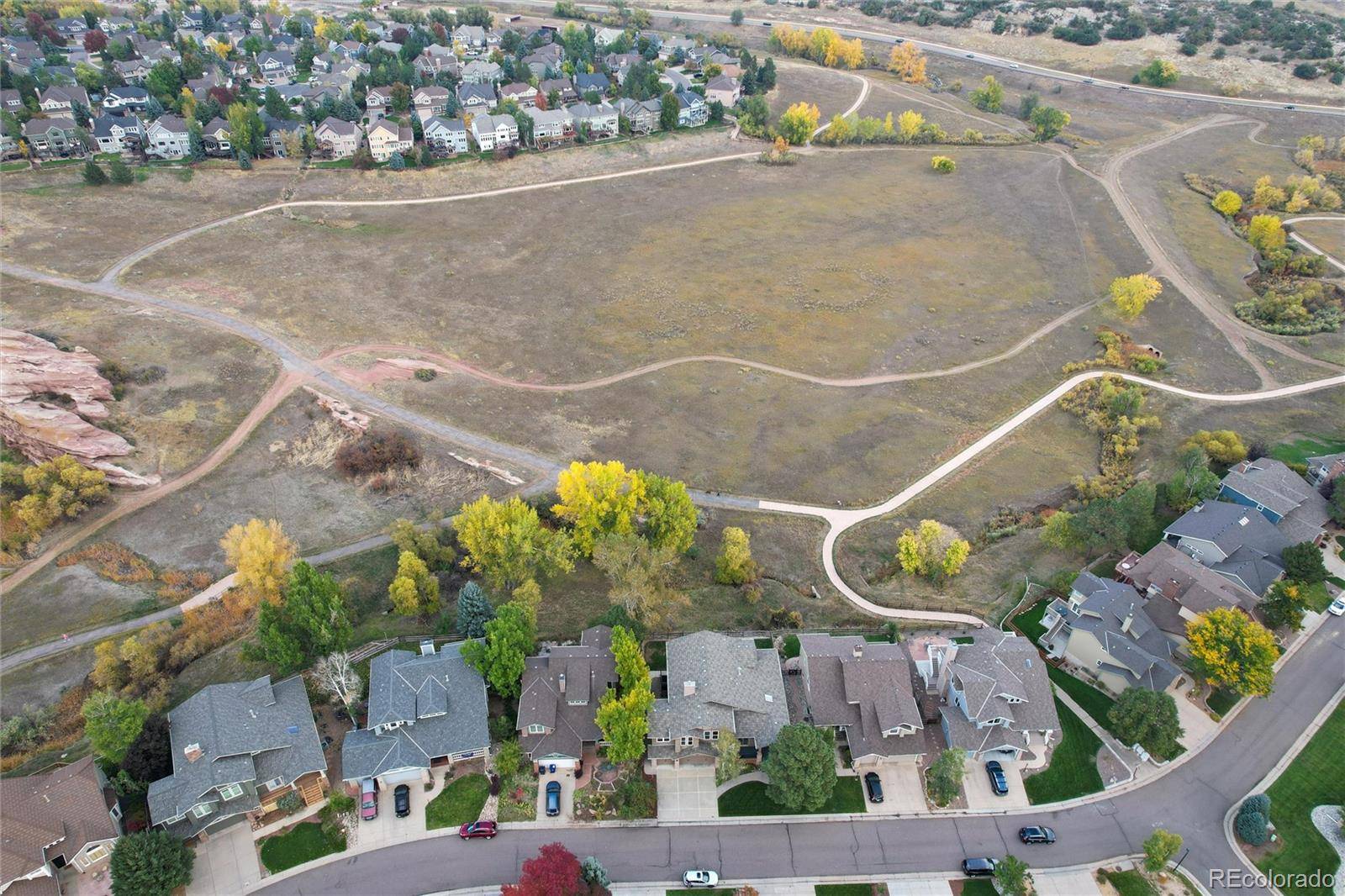 Littleton, CO 80127,6 Wood Sorrel