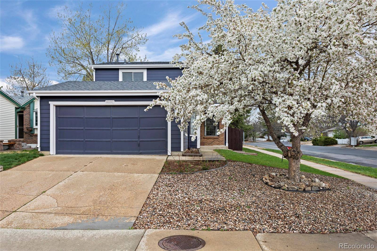 Arvada, CO 80005,8097 Lee CT