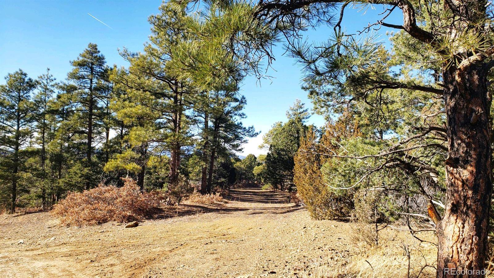 Trinidad, CO 81082,Lot 86 Ponderosa Hills