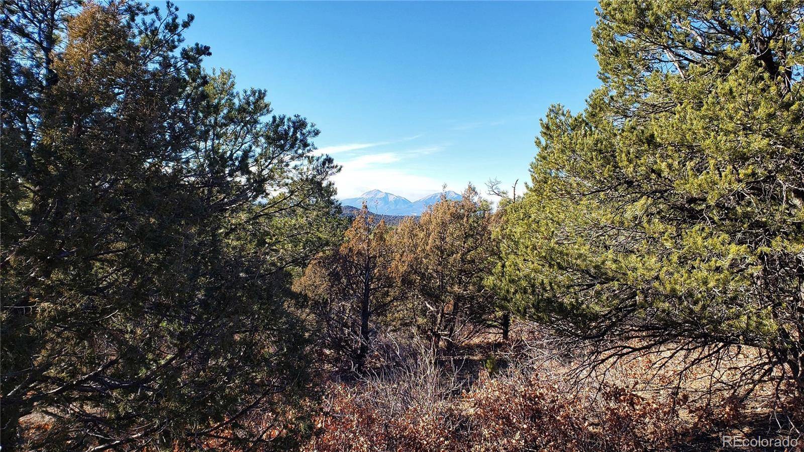 Trinidad, CO 81082,Lot 86 Ponderosa Hills