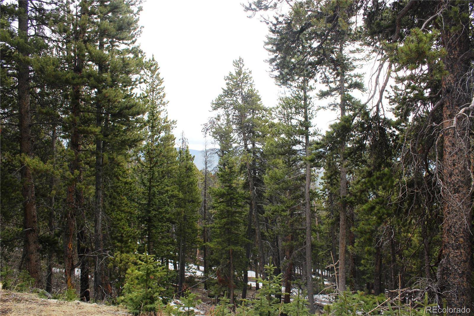 Idaho Springs, CO 80452,Group 5 Lamertine RD