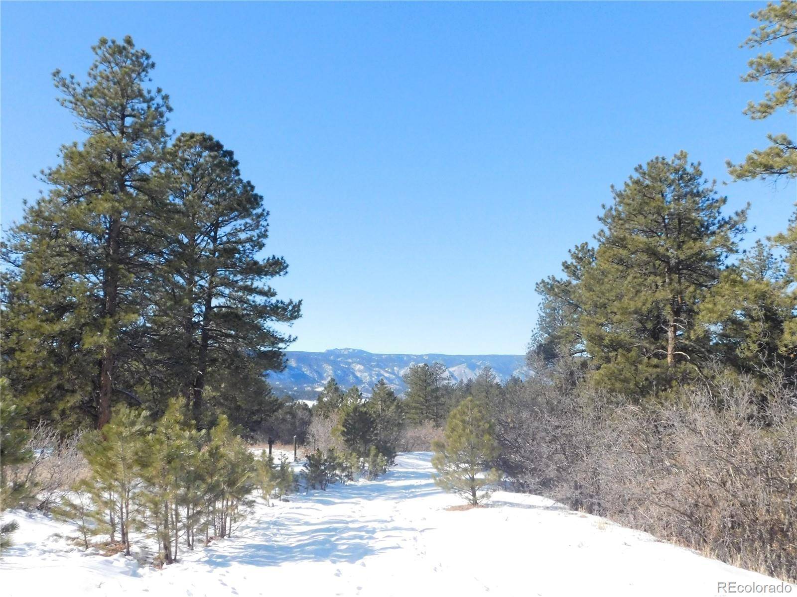 Larkspur, CO 80118,2301 Senecio CIR