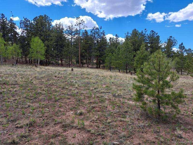 Hartsel, CO 80449,289 Haystack RD