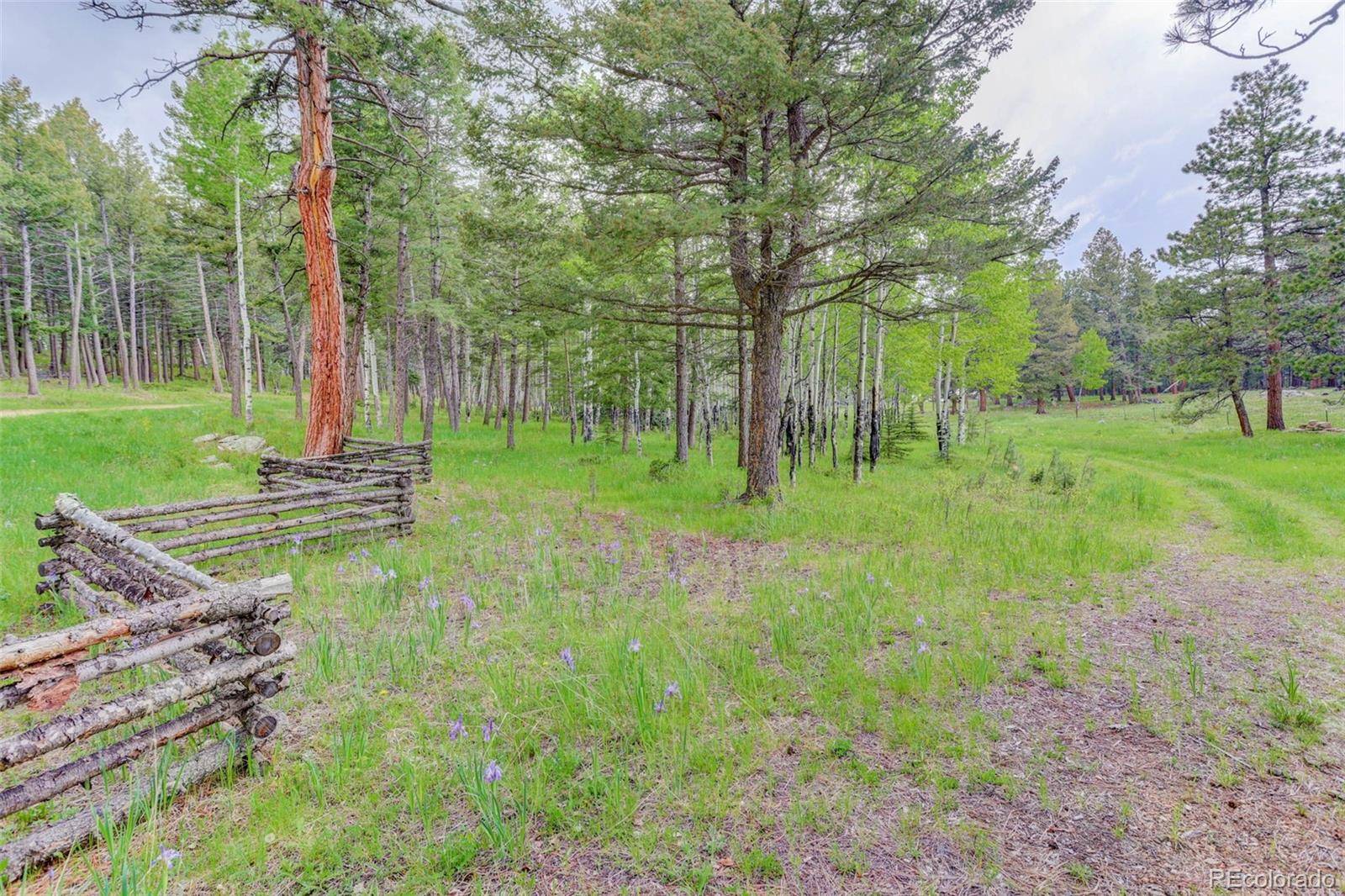 Evergreen, CO 80439,0000 S Elk Ridge