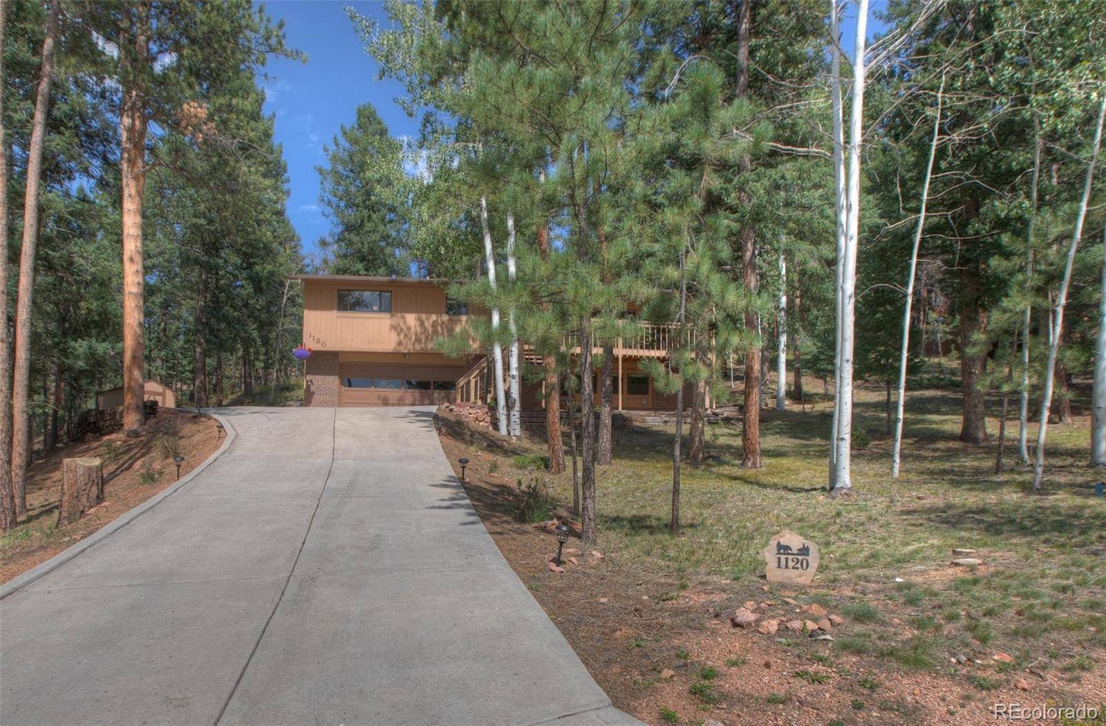 Woodland Park, CO 80863,1120 Pine Ridge RD