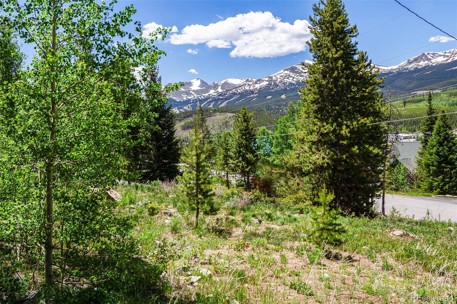 Breckenridge, CO 80424,422 Fairview BLVD