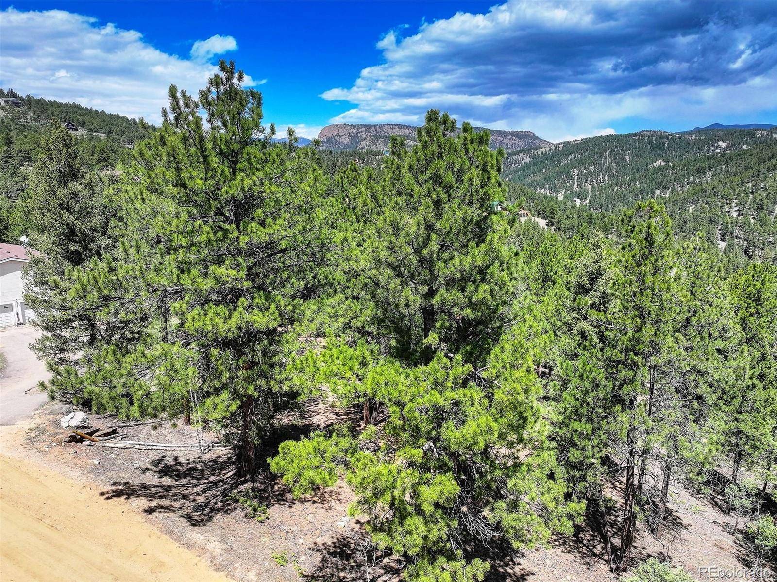 Bailey, CO 80421,456 Lo Meadow LN