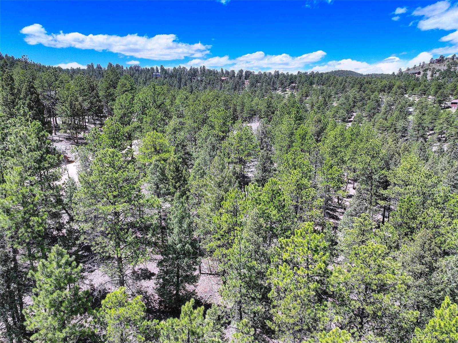 Bailey, CO 80421,456 Lo Meadow LN