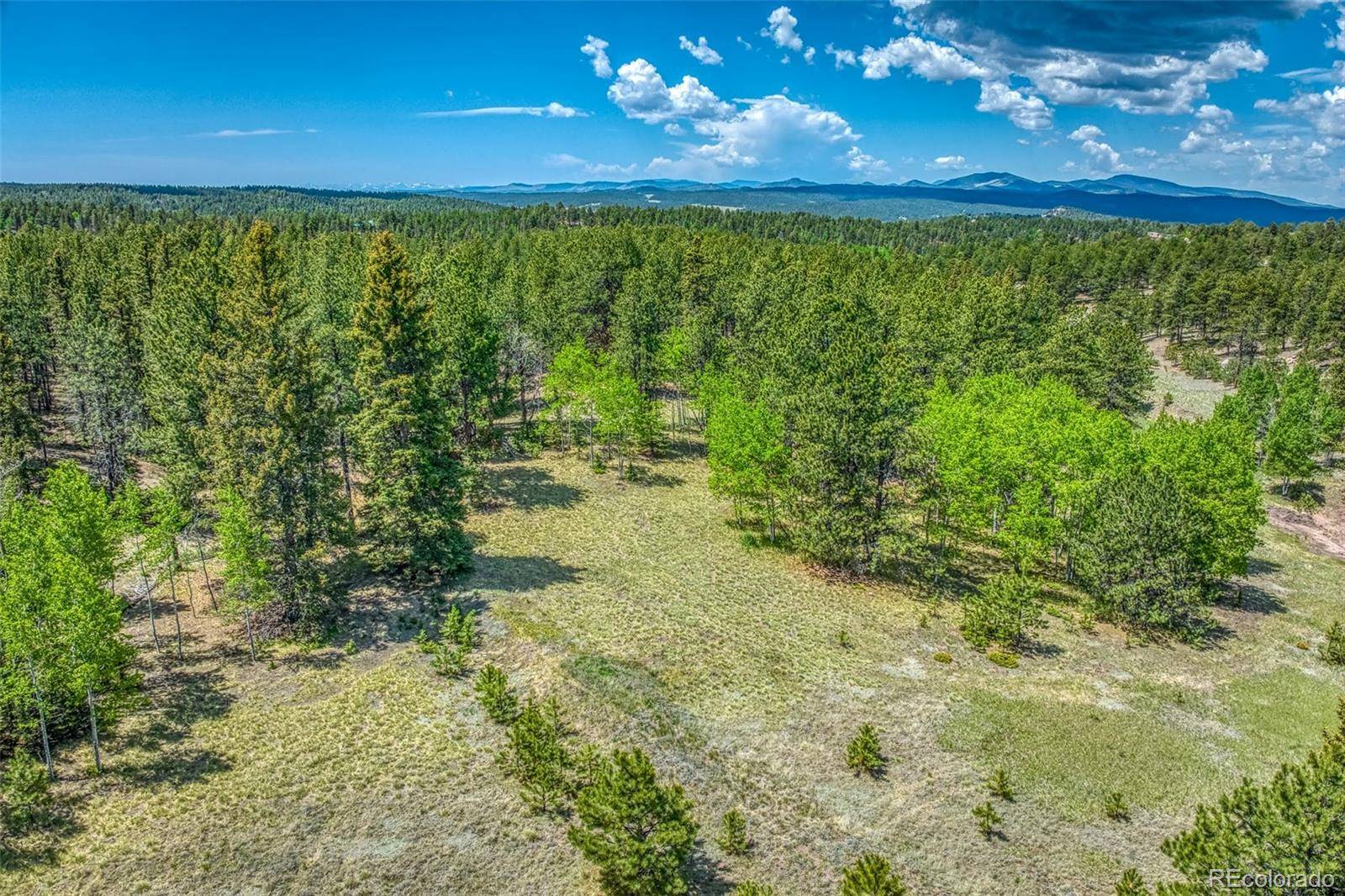 Florissant, CO 80816,2756 County 421