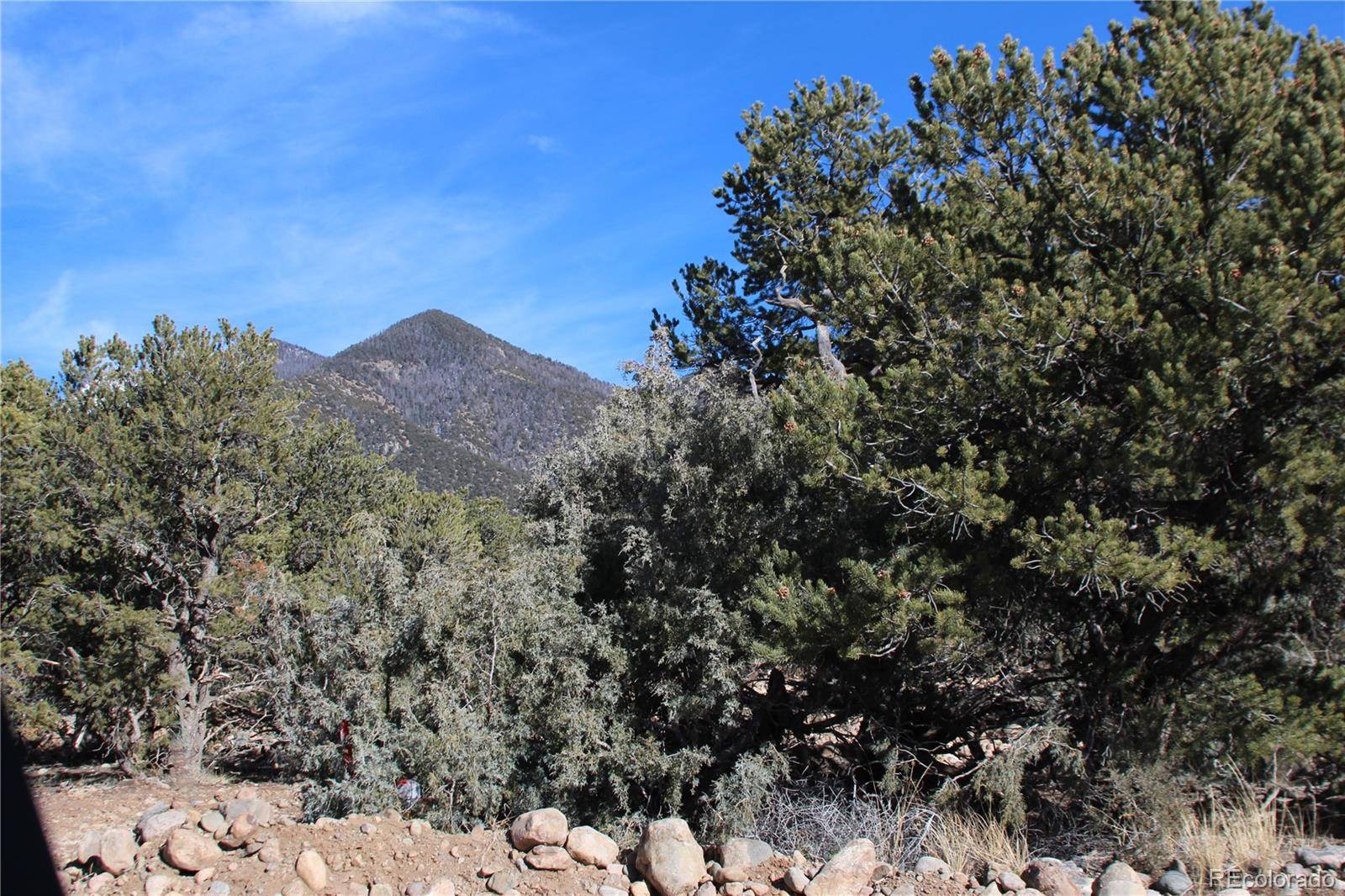 Crestone, CO 81131,4333 Camino Baca Grande