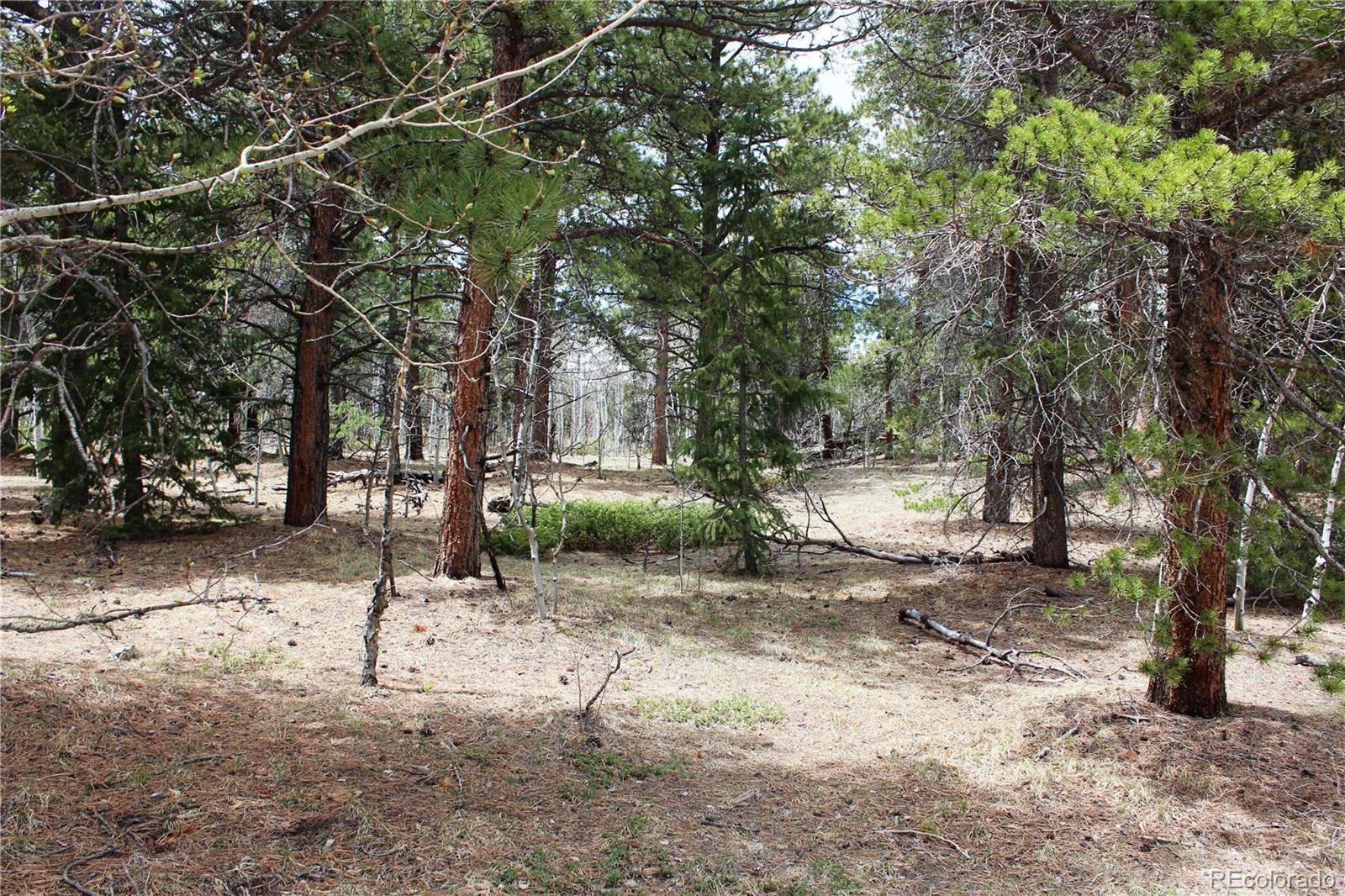 Black Hawk, CO 80422,Lot 10 Pinon CIR