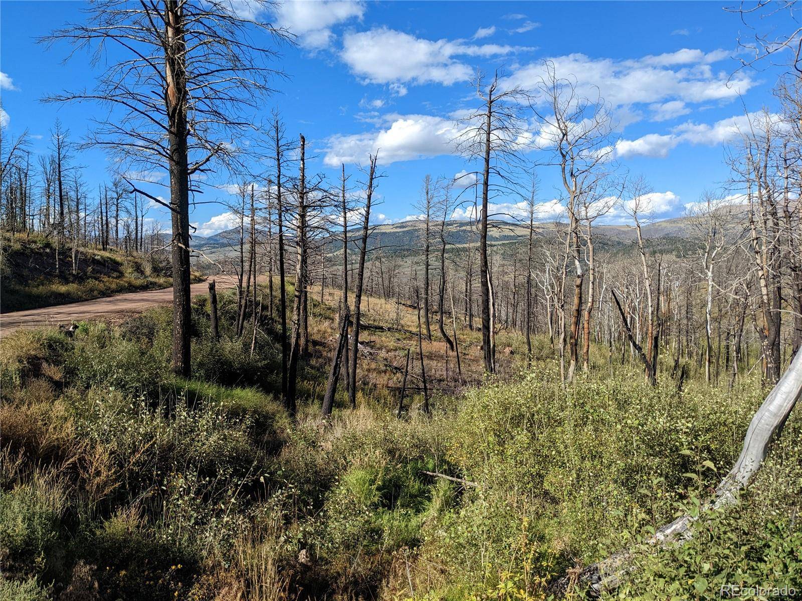 Fort Garland, CO 81133,296 Wagon Mesa LOOP