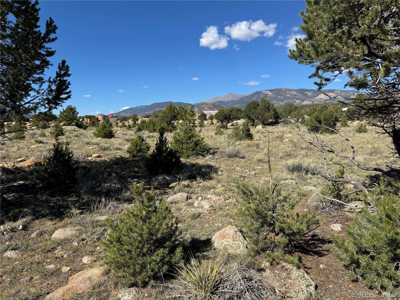 Buena Vista, CO 81211,324 Crossman AVE