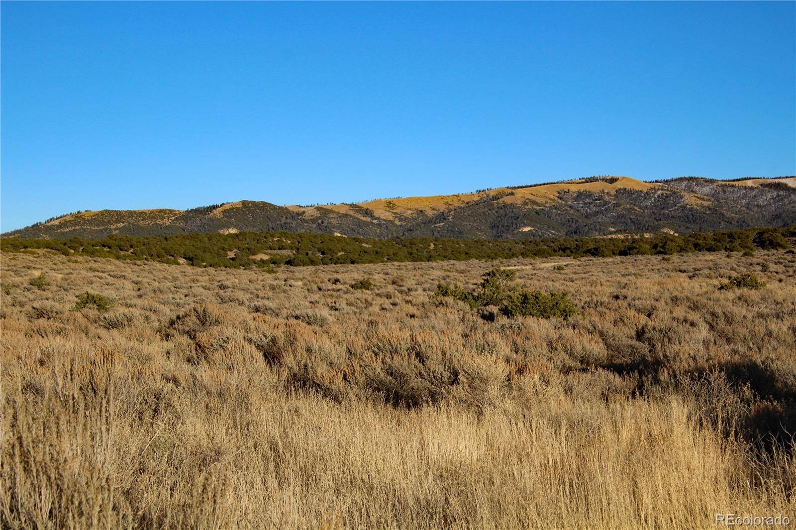 Fort Garland, CO 81133,Lot 1181 Pfotenhauer