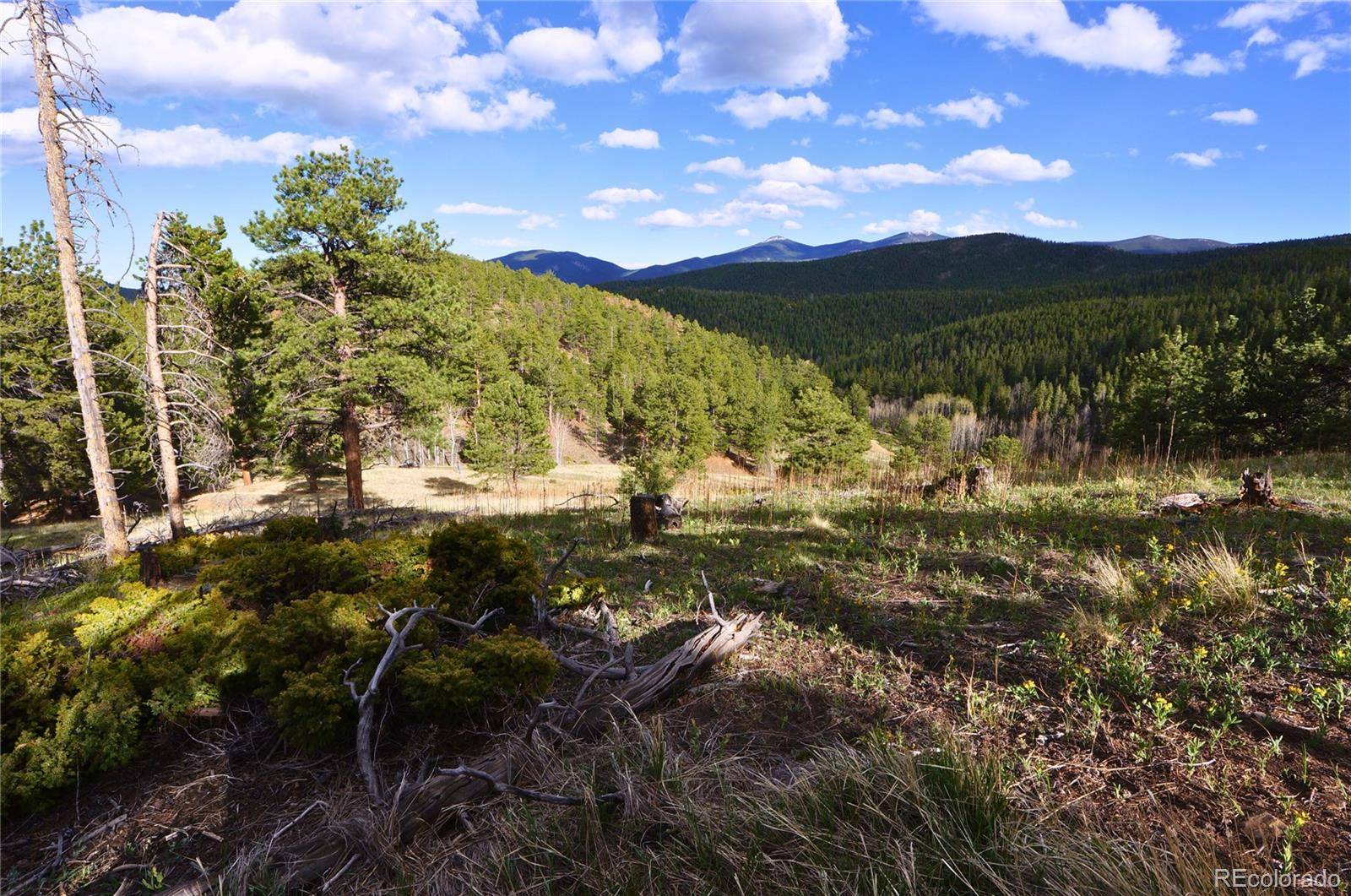 Idaho Springs, CO 80452,000 Turkey Gulch RD