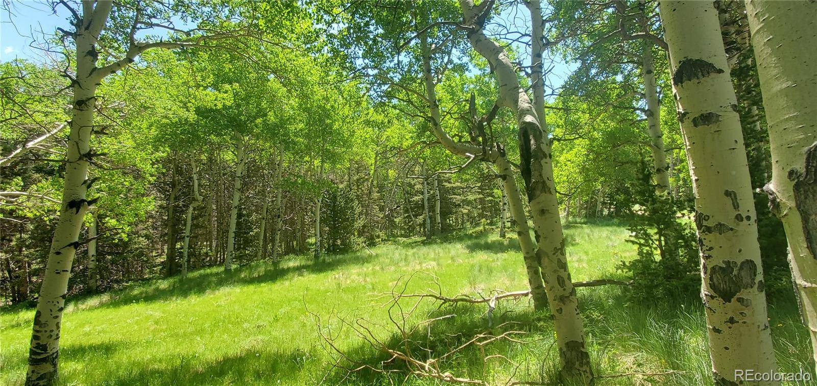 Fort Garland, CO 81133,Lot 3085 Henderson LN