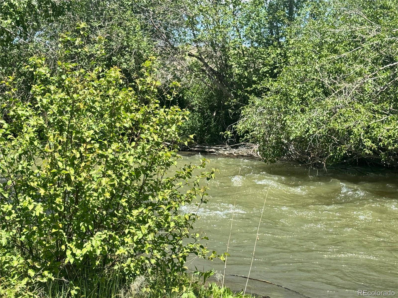 La Jara, CO 81151,Lot 21 Alamosa River LN
