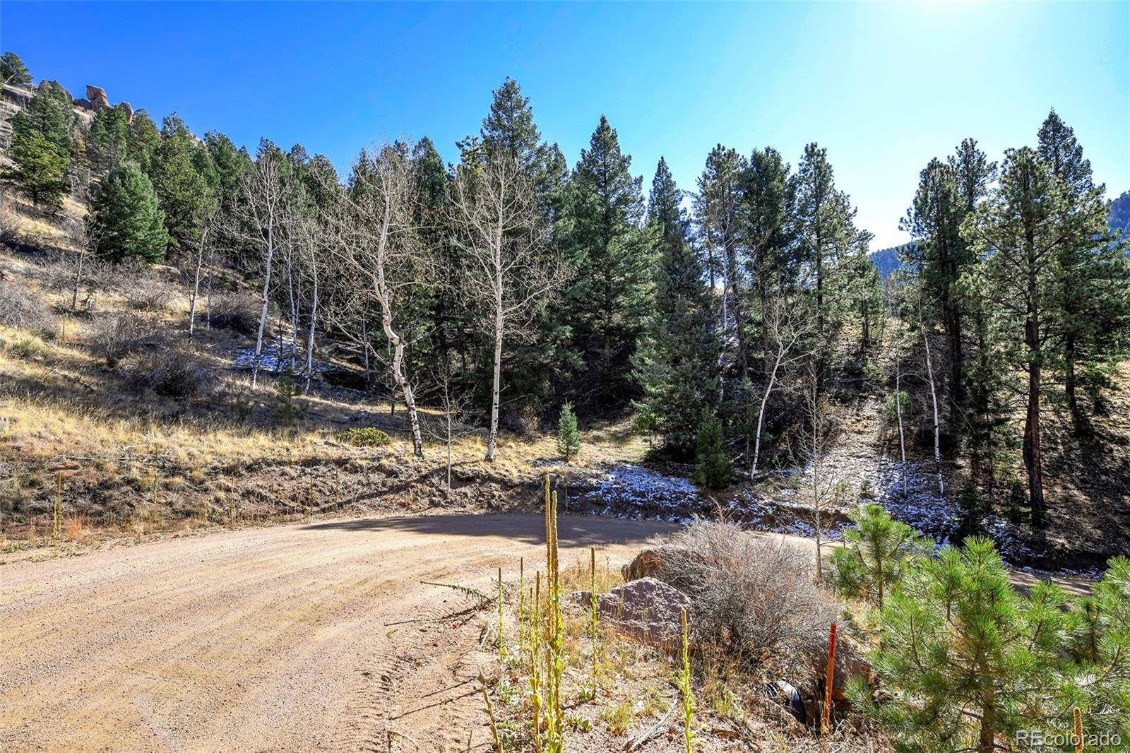 Cripple Creek, CO 80813,186 Alpine DR