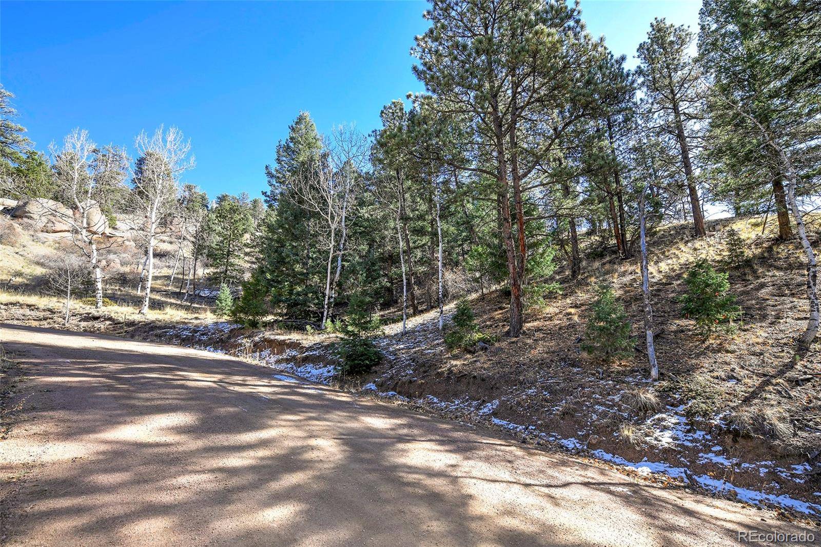 Cripple Creek, CO 80813,186 Alpine DR