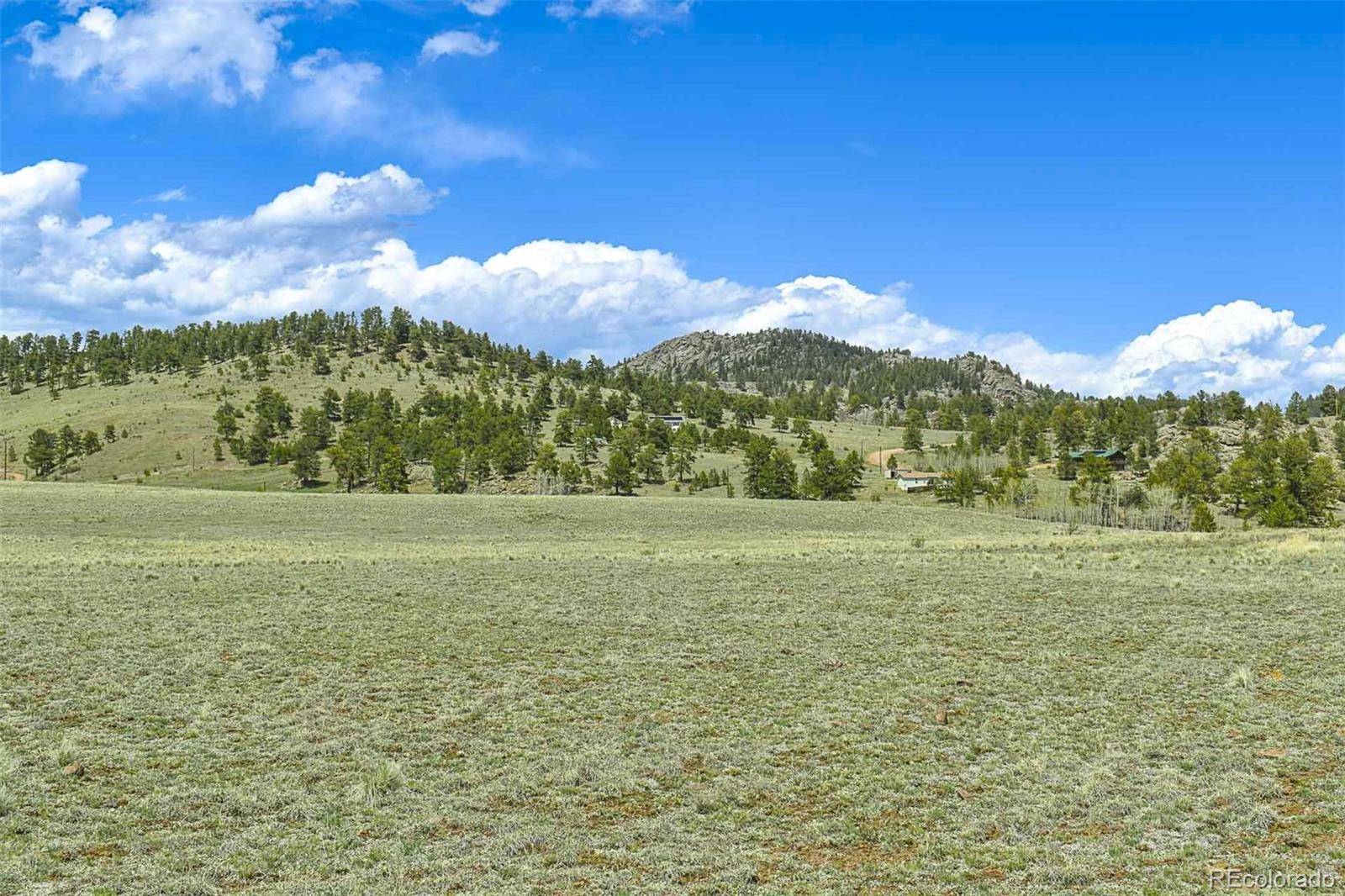 Guffey, CO 80820,74 Wrights LN