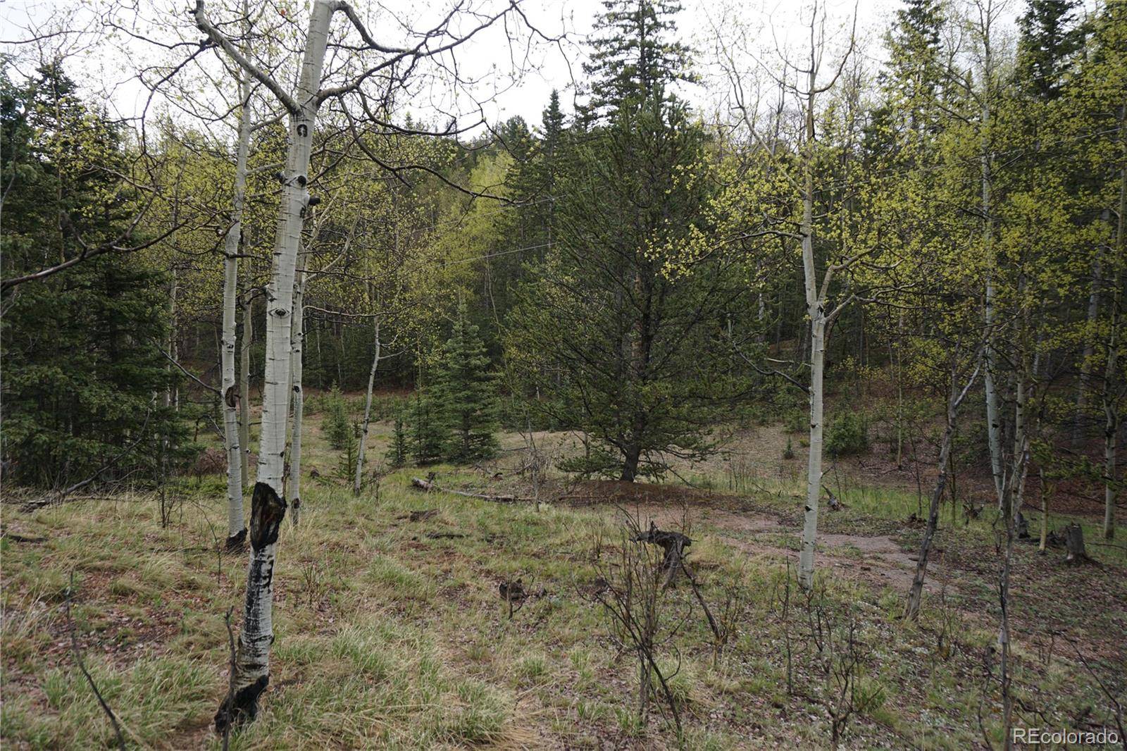 Cripple Creek, CO 80813,Vacant Land