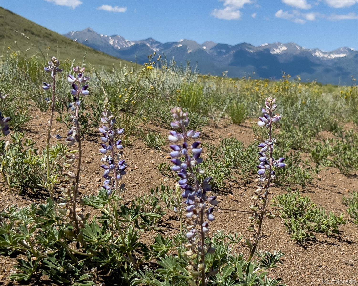 Westcliffe, CO 81252,TBD L3 CO RD 255
