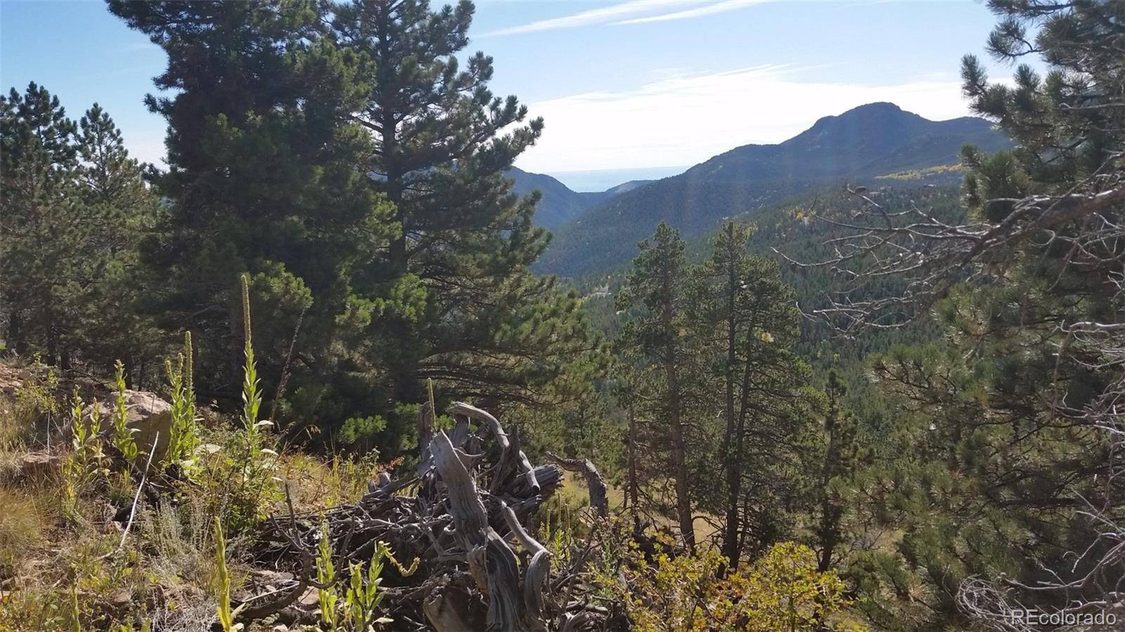 Golden, CO 80403,32778 Janelle LN