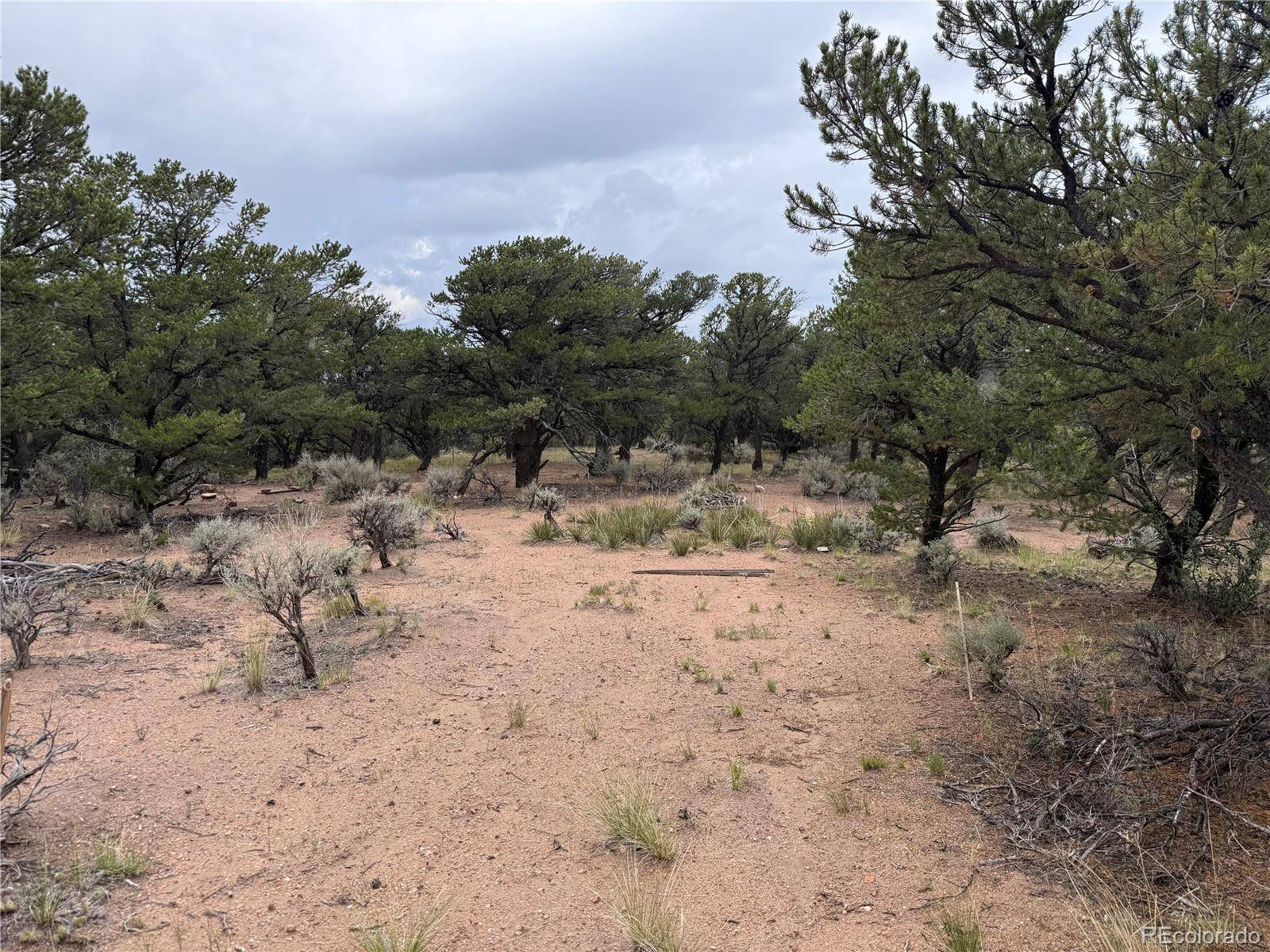 Fort Garland, CO 81133,7863 Platten RD