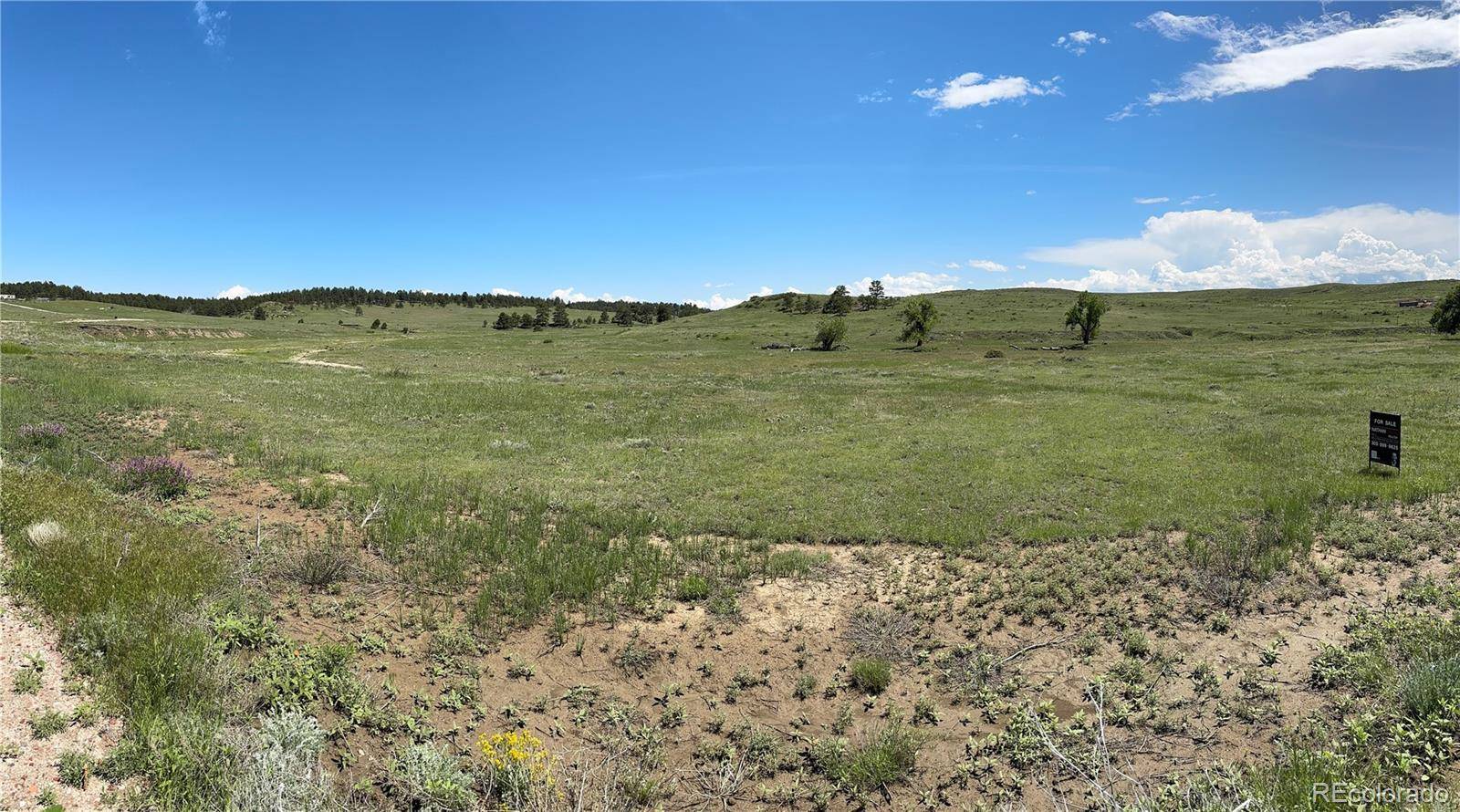 Deer Trail, CO 80105,39307 Way of Grace TRL