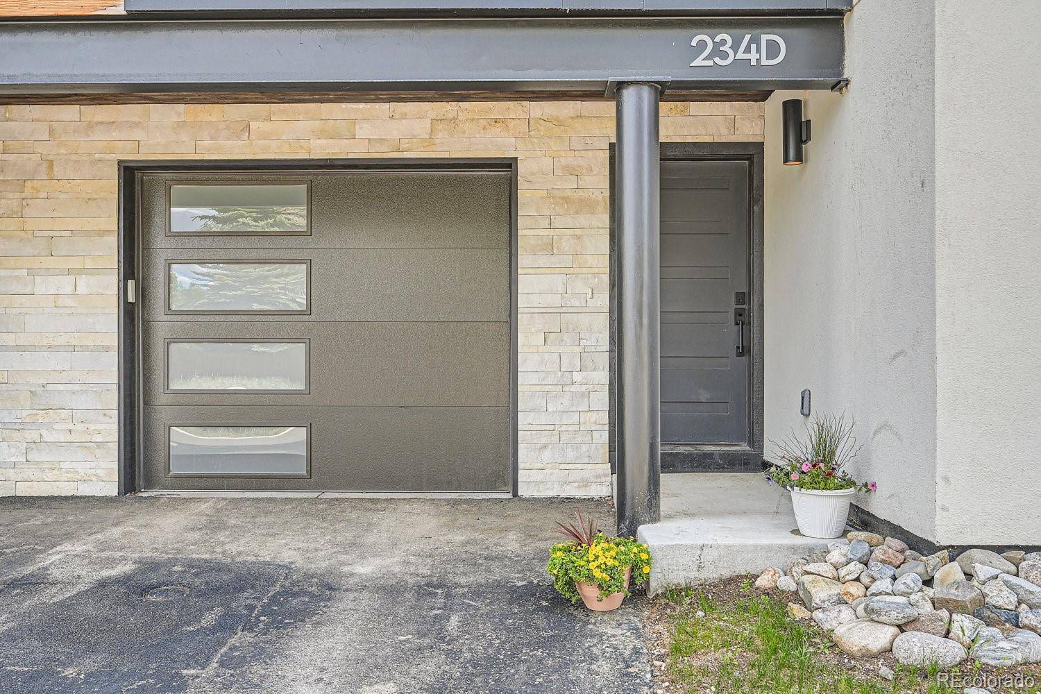 Frisco, CO 80443,234 Frisco ALY #D
