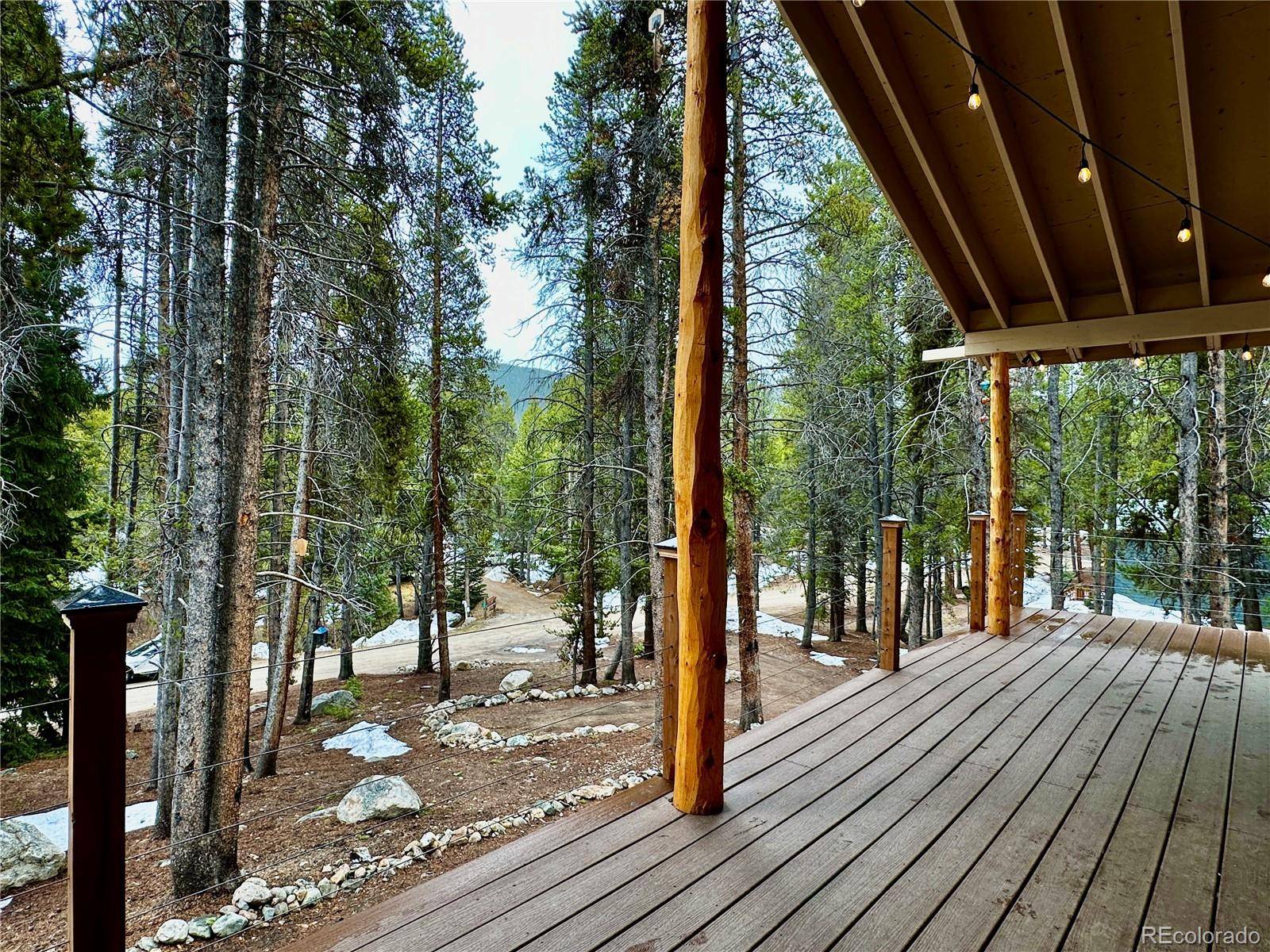 Leadville, CO 80461,107 E Dream Home DR