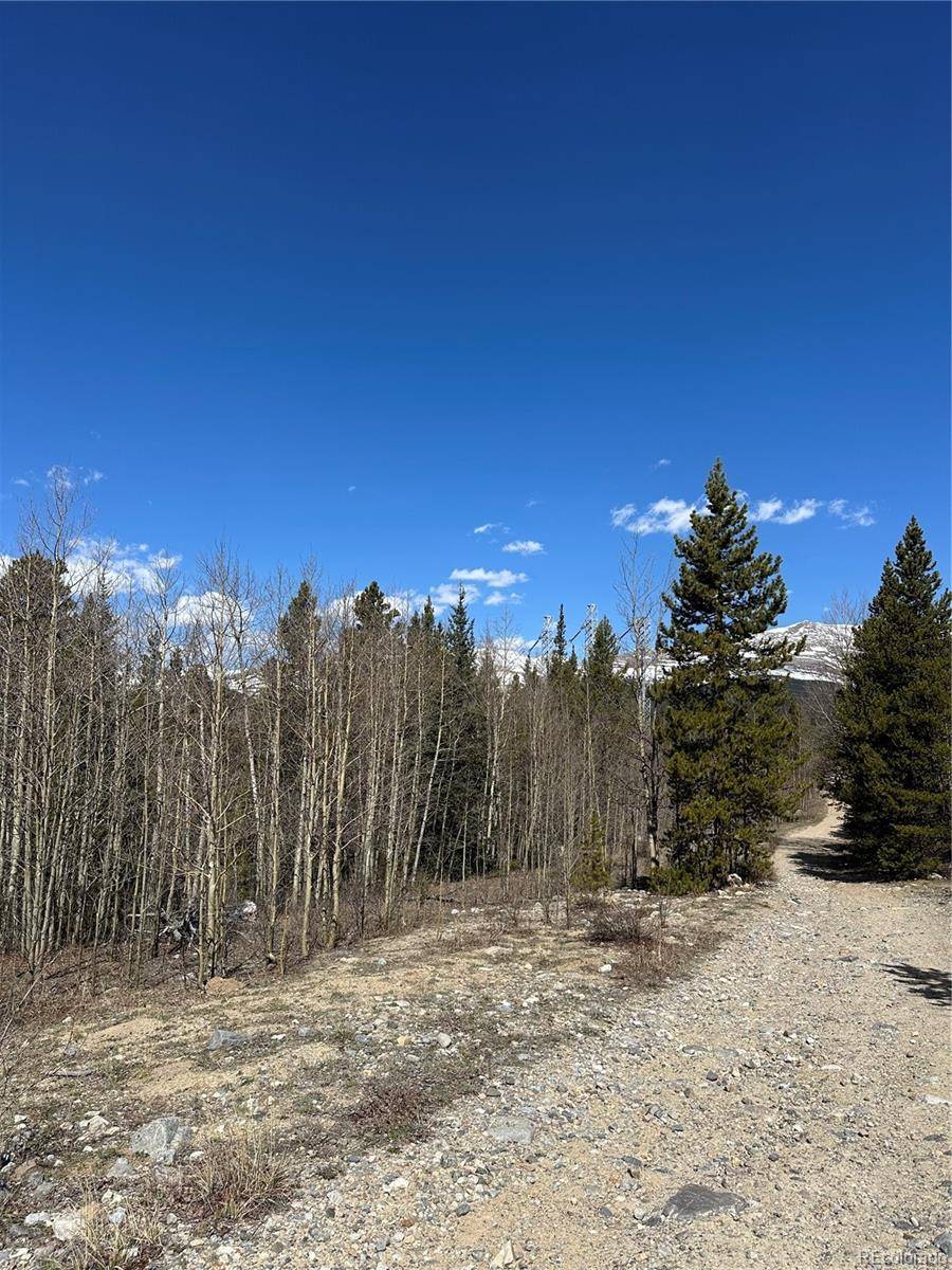 Alma, CO 80420,County Road 665