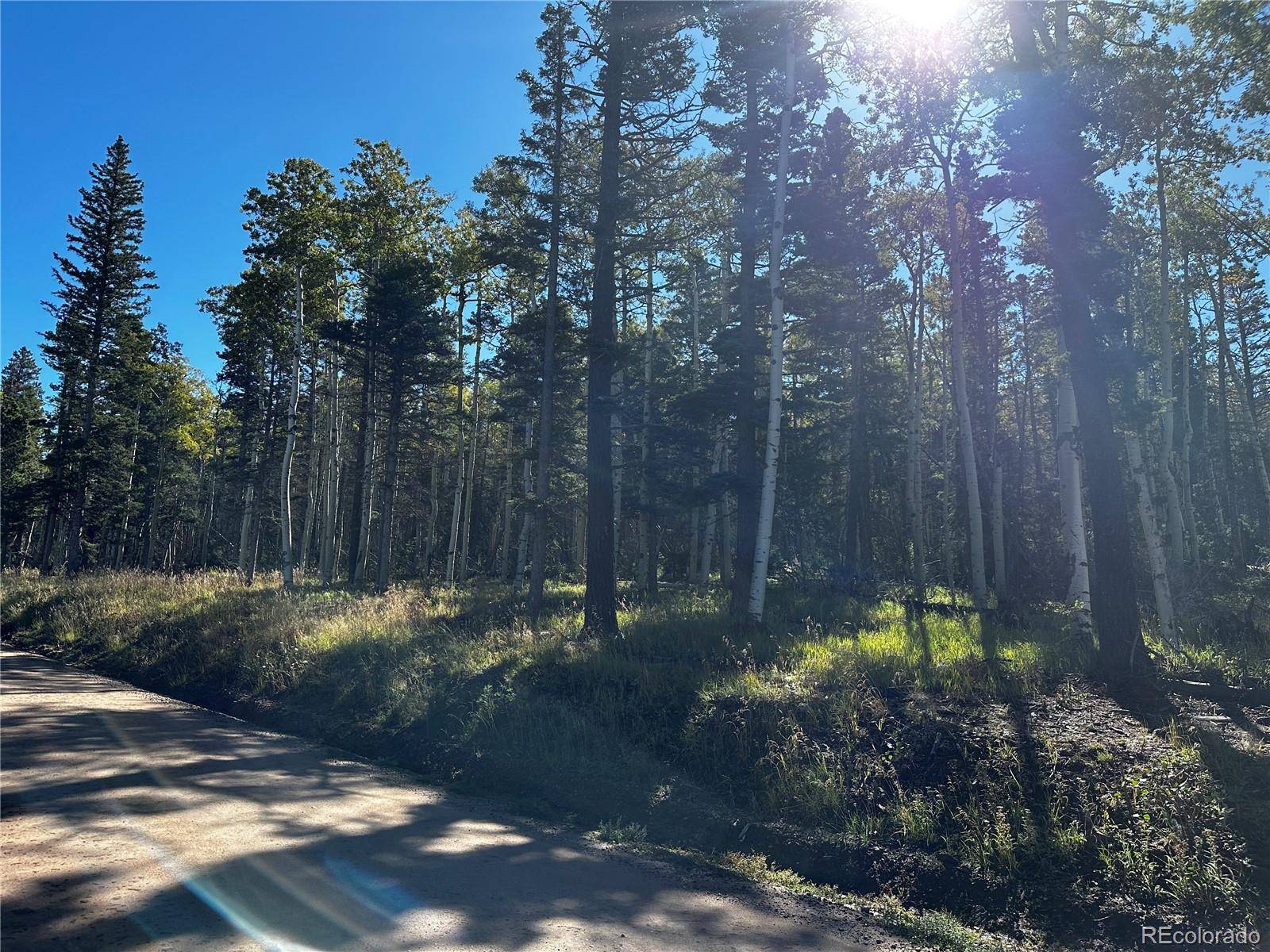 Fort Garland, CO 81133,Lot 2652 Petito DR