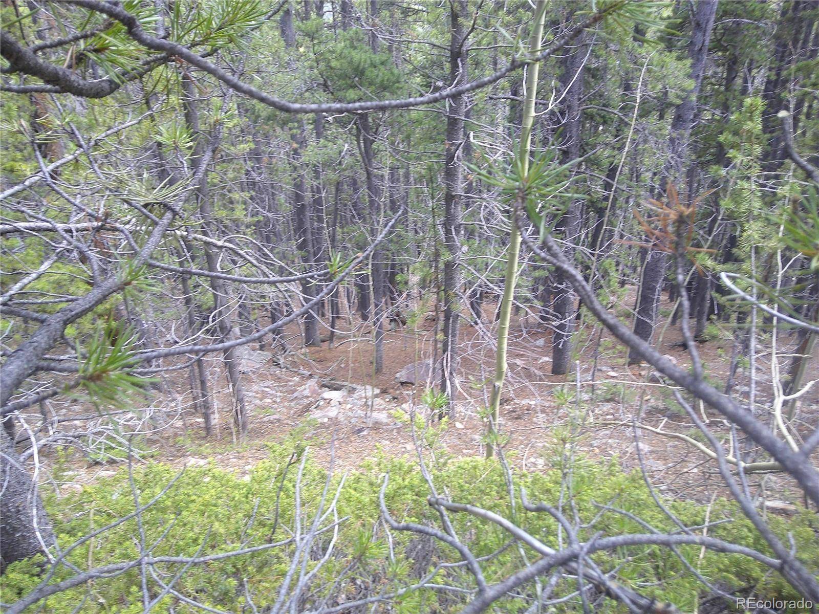 Idaho Springs, CO 80452,Lot #441 Hillside RD