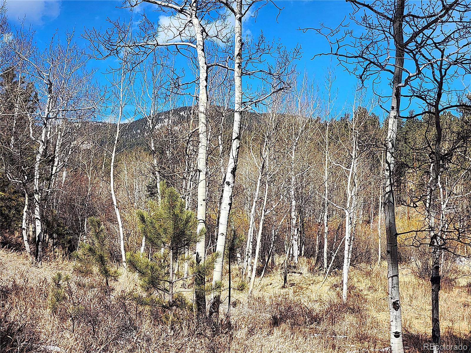 Bailey, CO 80421,144 Gray ST