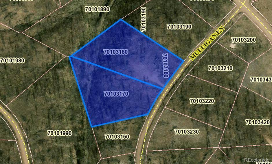 Fort Garland, CO 81133,415-416 Mulligan LN