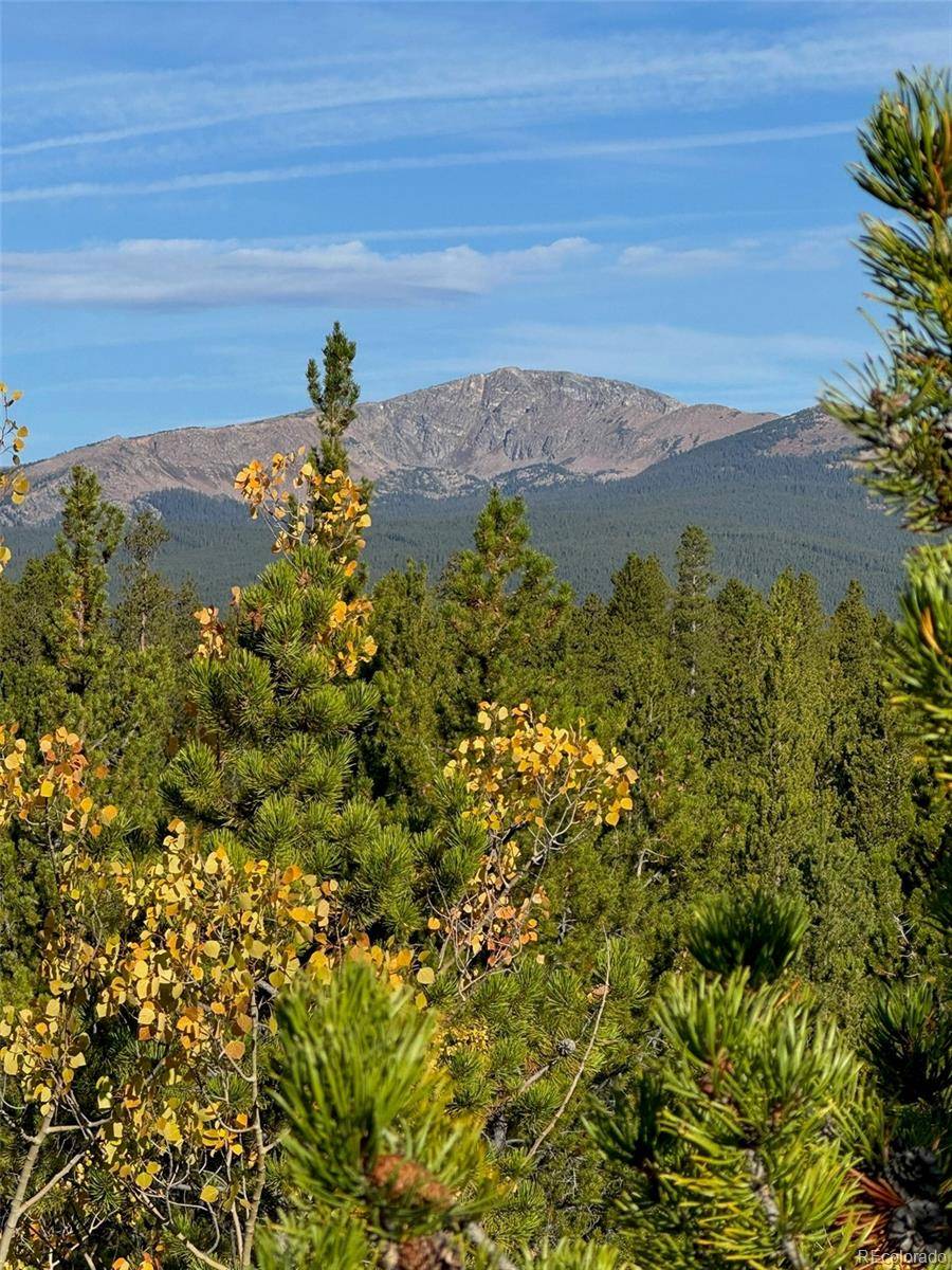 Leadville, CO 80461,670 Alpine Cirque
