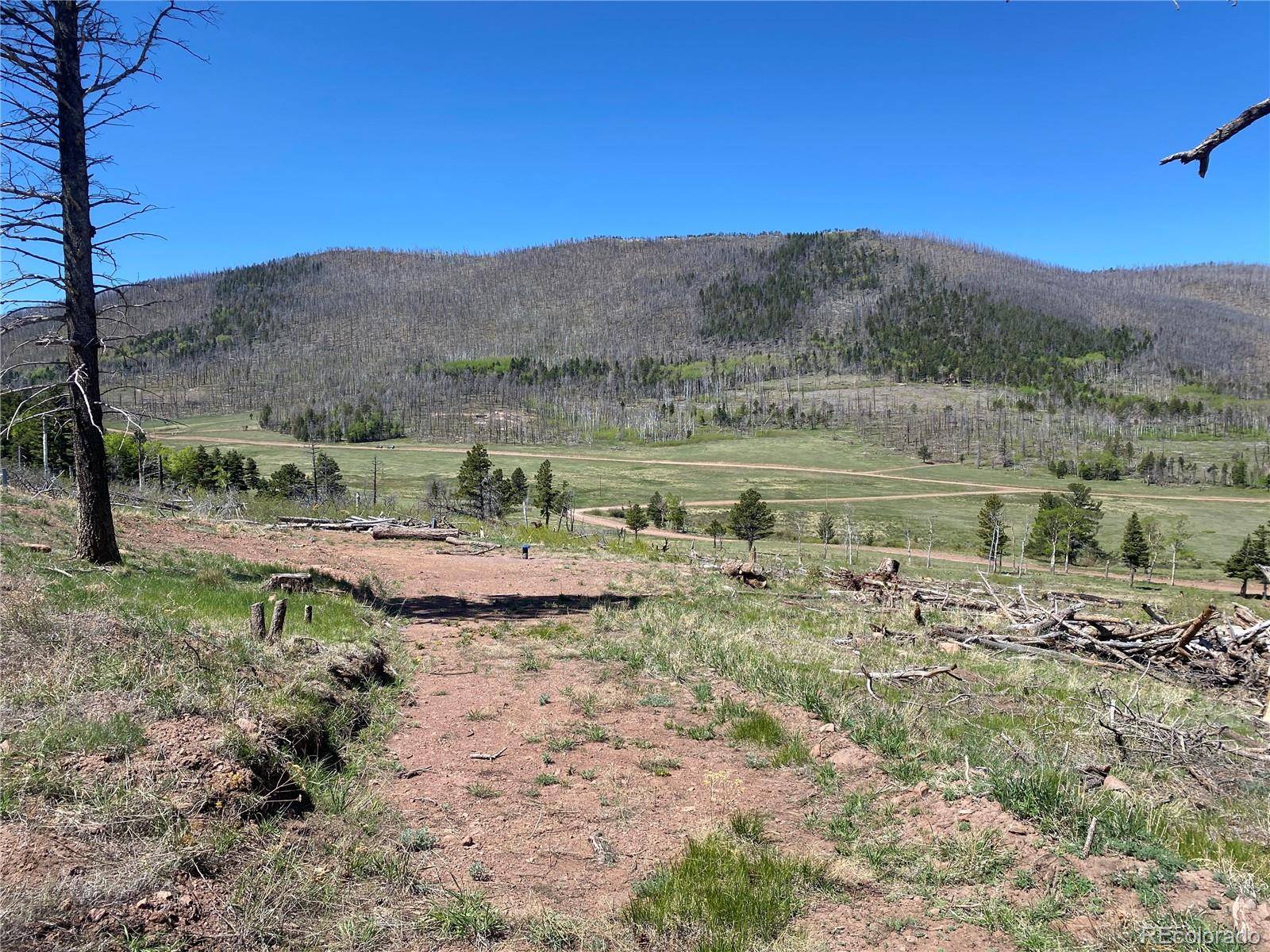 Fort Garland, CO 81133,2135 Riccardo LN