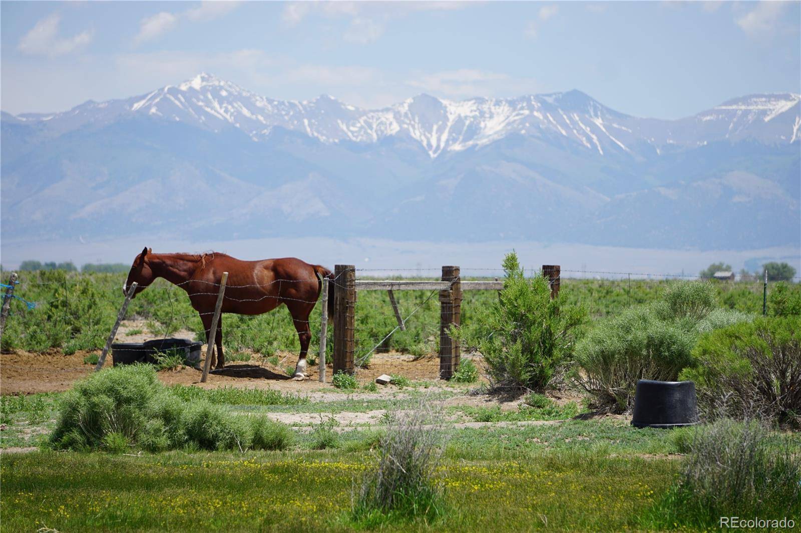 Saguache, CO 81149,County Road U