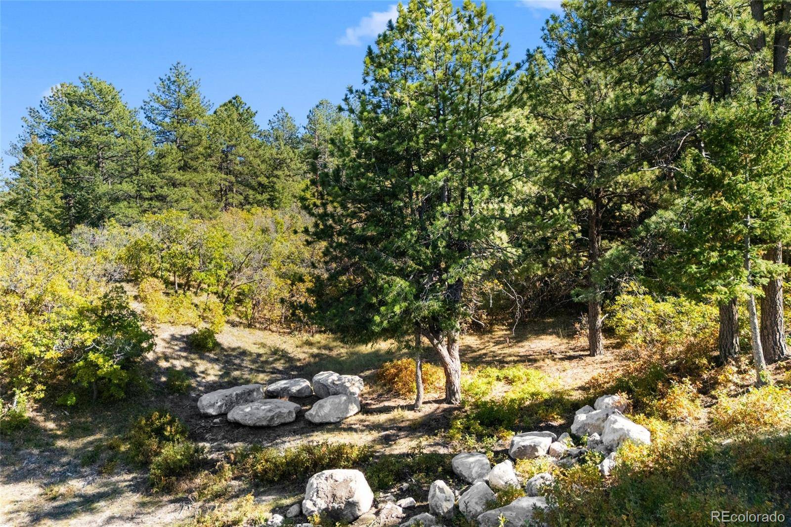 Castle Rock, CO 80108,1095 Golf Estates PT