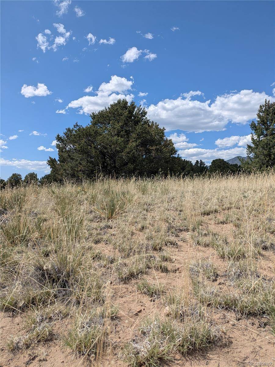 Crestone, CO 81131,3213 Enchanted CT