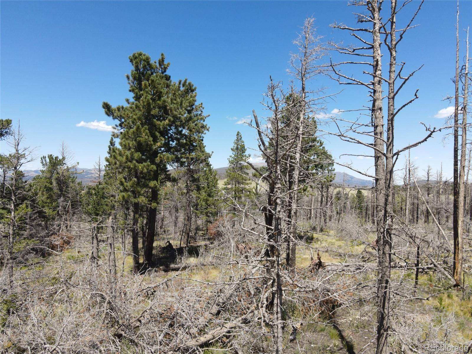 Fort Garland, CO 81133,2169 Hayden LN
