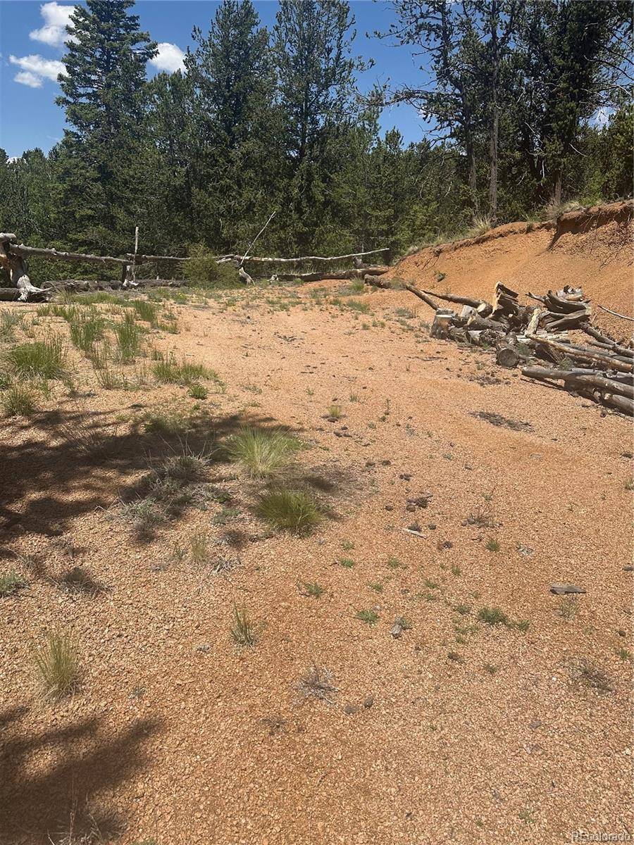 Cripple Creek, CO 80813,110 Brown Bear LN