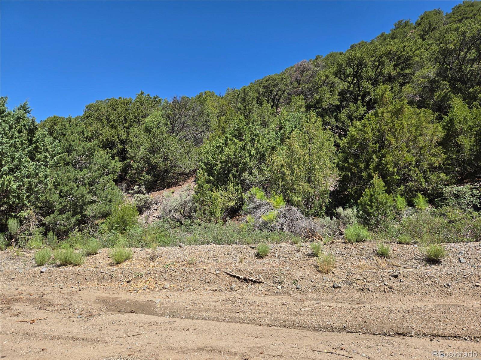 Fort Garland, CO 81133,Lot 5046 Joy RD