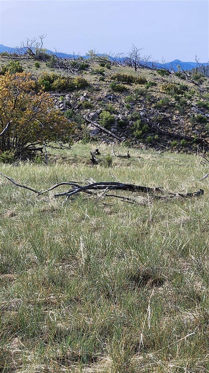 Cotopaxi, CO 81223,56 Kit Carson LN