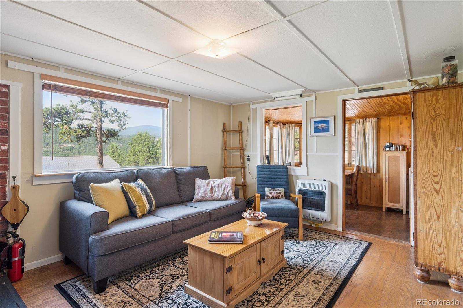 Bailey, CO 80421,990 Road P69