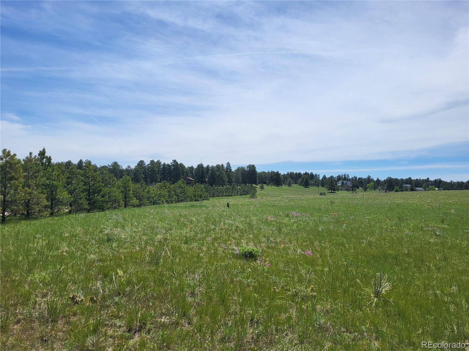 Elizabeth, CO 80107,County 21 RD