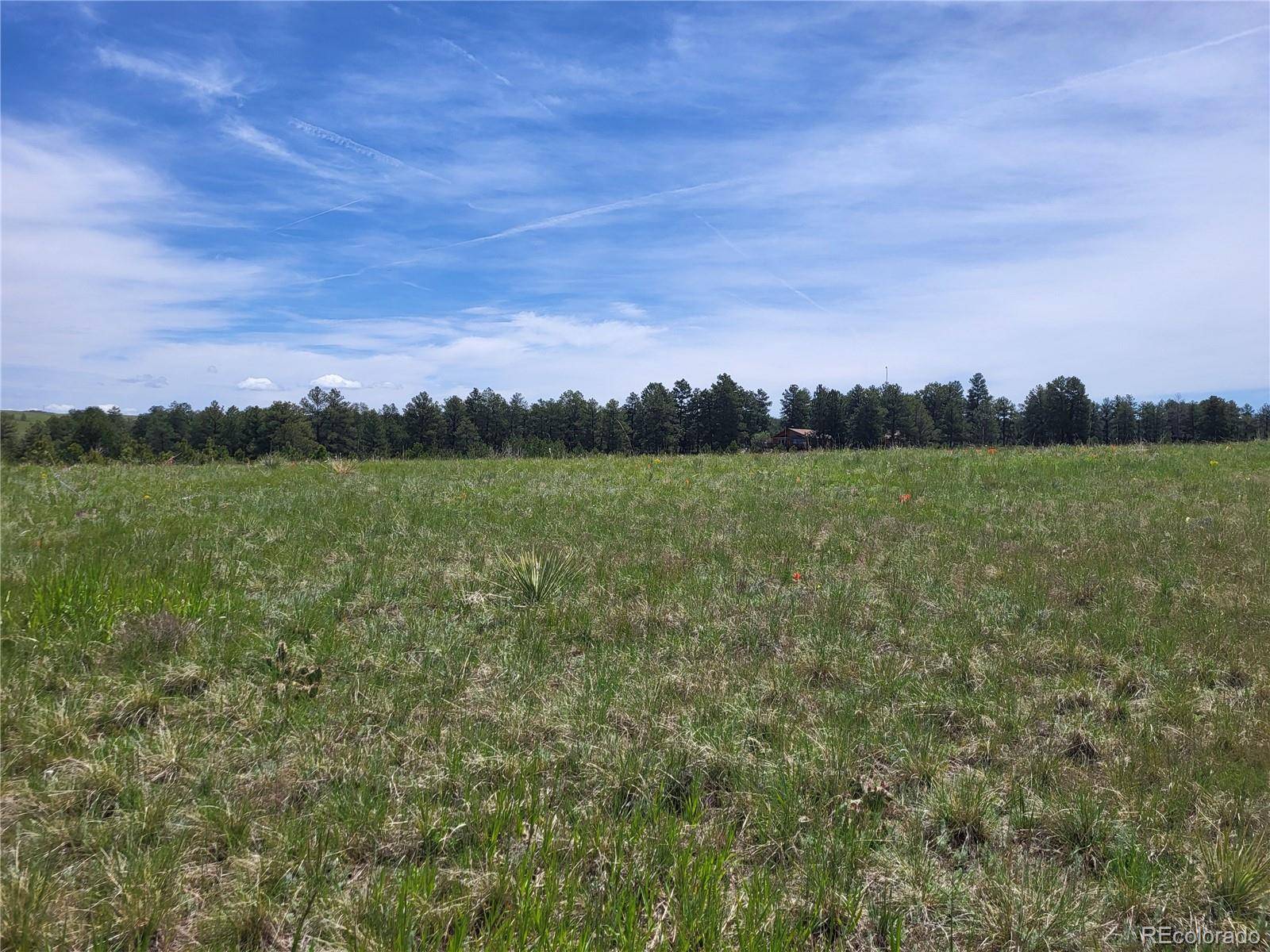Elizabeth, CO 80107,County 21 RD