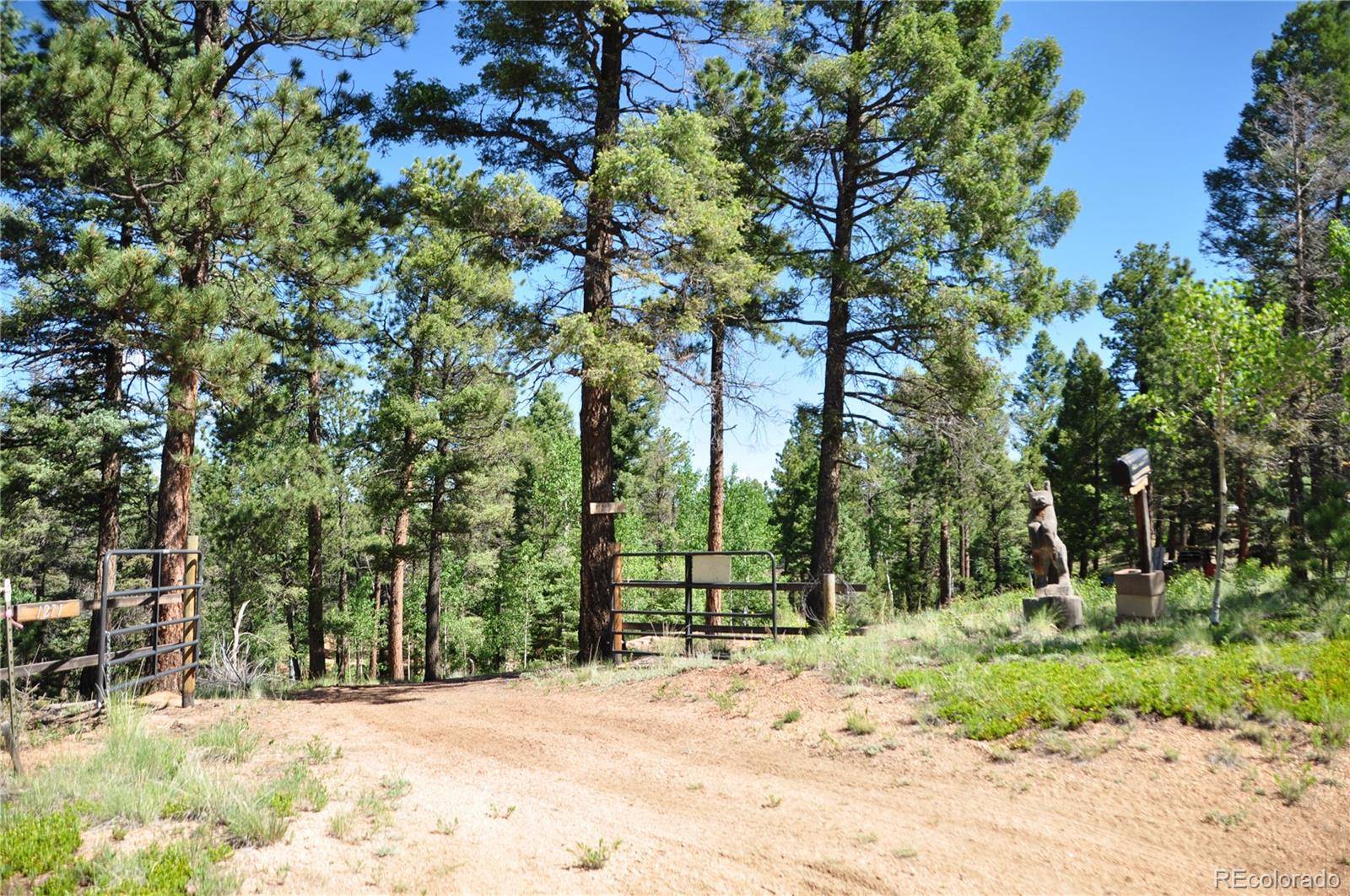 Divide, CO 80814,1271 Rangeview RD